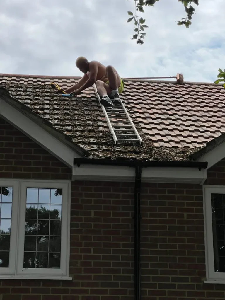 golden hammer roofing roof cleaning